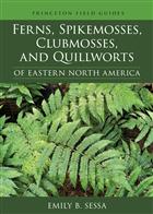 Ferns, Spikemosses, Clubmosses, and Quillworts: of Eastern North America