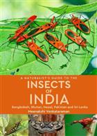 A Naturalist's Guide to the Insects of India:  Bangladesh, Bhutan, Nepal, Pakistan and Sri Lanka