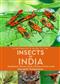 A Naturalist's Guide to the Insects of India:  Bangladesh, Bhutan, Nepal, Pakistan and Sri Lanka