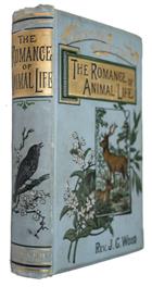 The Romance of Animal Life: Short Chapters in Natural History