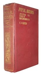 Animal Artisans: And other studies of Birds and Beasts