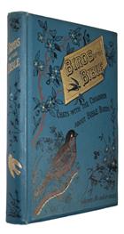 Birds of the Bible: Chats with the Children about Bible Birds