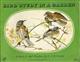 Bird Study in a GardenA Book for Bird Watchers (Puffin Picture Book No. 106)
