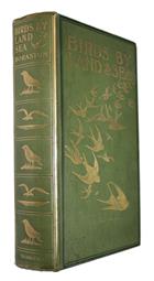 Birds by Land & Sea: The record of a year's work with field-glass and camera