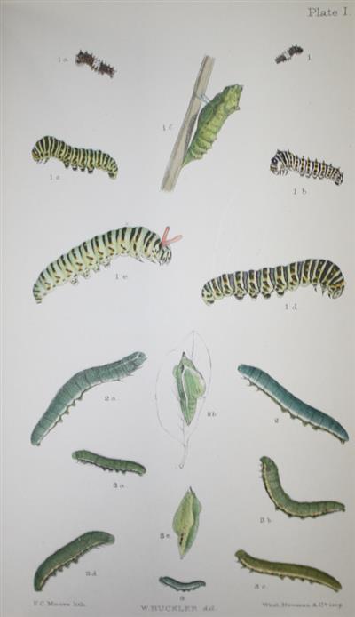 The Larvae of the British Butterflies and Moths. Vol. IIX with letters