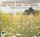 Habitat Management for Wild Bees and Wasps