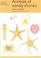 Animals of Sandy Shores (Naturalists' Handbooks 21)