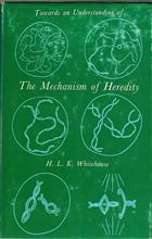 Towards and Understanding of the Mechanism of Heredity