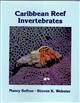 A Field Guide to Caribbean Reef Invertebrates