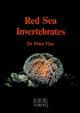 Red Sea Invertebrates