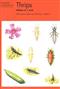 Thrips (Naturalists' Handbooks 25)