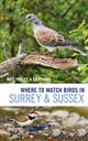 Where to Watch Birds in Surrey and Sussex