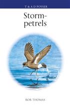 Storm-petrels