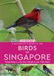 A Naturalist's Guide to the Birds of Singapore