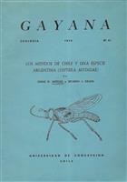Los mididos de Chile y una especie Argentina (Diptera-Mydidae)