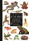 Frogs of the World: A Guide to Every Family