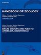 Annelida: Band 1: Basal Groups and Pleistoannelida, Sedentaria I (Handbook of Zoology)