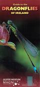 Guide to the Dragonflies of Ireland
