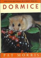 Dormice