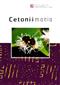 Cetoniimania No. 17