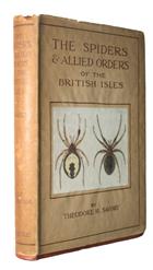 The Spiders and Allied Orders of the British Isles