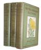 Wayside and Woodland Blossoms A Guide to British Wild Flowers. Series I-III