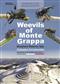 Biodiversity of the Mediterranean Basin. II: Weevils of Monte Grappa: Biosphere Reserve, Italy (Coleoptera Curculionoidea)