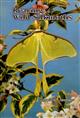 Rearing Wild Silkmoths