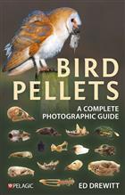 Bird Pellets: A Complete Photographic Guide