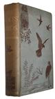 The Poets' Birds