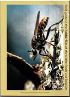 Field guide to the Robberflies of the Netherlands and Belgium