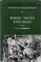 Bird's nests and eggs