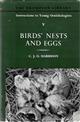 Bird's nests and eggs