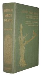 British Bird's Nests: How, Where, and When to find and identify them