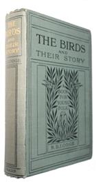 The Birds and their Story: A Book for Young Folk
