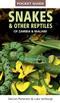 Snakes & Other Reptiles of Zambia and Malawi: Pocket Guide