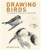 Drawing Birds: A Complete Step-by-Step Guide