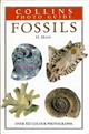 Collins Photo Guide to Fossils