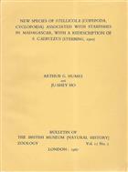 New Species of Stellicola (Copedopa, Clyclopoida) associated with Starfishes in Madagascar, with a Redescription of S. caeruleus (Stebbing, 1900)