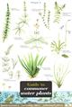 Guide to Commoner Water Plants  (Identification Chart)