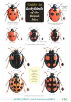 A Guide to Ladybirds of the British Isles (Identification Chart)