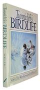 Tunnicliffe's Birdlife