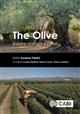 The Olive: Botany and Production