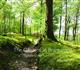 The Gardens at Brantwood: Evolution of John Ruskin's Lakeland Paradise