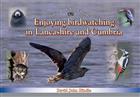 Enjoying Birdwatching in Lancashire and Cumbria