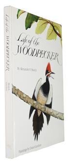 Life of the Woodpecker