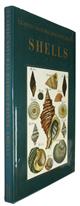 Shells (Classic Natural History Prints)