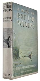 A Book of British Waders