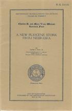 A new Pliocene stork from Nebraska