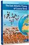 The East Atlantic Flyway of Coastal Birds: 50 Years of Exciting Moments in Nature Conservation and Research